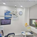 정관장 앞 횡단보도 이미지