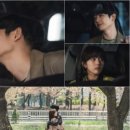 헤이듀드 이미지