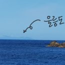 독도 이미지