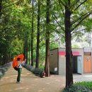 세븐일레븐 영천창신대로점 | 흐려지는 늦여름의 일기['영천 우로지 자연숲에 나도 가봤다'~~♡]