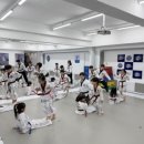 용인대 금메달 태권도 이미지