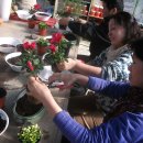 성지농원 이미지