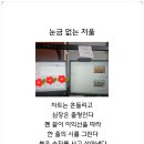 진순희