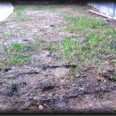 연동농장 이미지