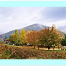 가을여행 이미지