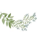 벌교이마트 이미지