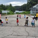 조이하우스 이미지