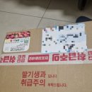 논산시 상월면 주곡리 경로당 | 달콤한 선물! 논산 딸기 직거래 유자딸기농장, 인생 딸기 만났어요 🍓