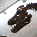 지질박물관 이미지