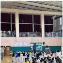 브레인박사태권도 네이버블로그