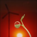 새싹, 화합 이미지