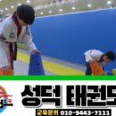 성덕태권도 이미지