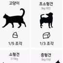유한회사 비피코리아 네이버블로그
