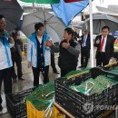 봉평전통시장 이미지