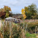 하서중학교 이미지