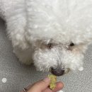 청자다방문래역점