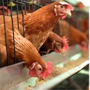 맥섬석지엠(주) 이미지