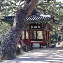 의림지-04 Daum카페