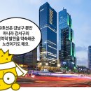 보라부동산공인중개사사무소 이미지