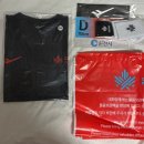 의암호순환 2 | 2025 춘천마라톤 10km 완주 후기 셔틀버스 코스 참가비 기념품