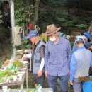 정대농장 이미지