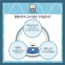 영렘브란트
