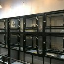 도그반하다 이미지