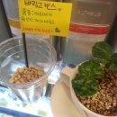바링고빈스 - 기장군 정관덕산길 31 | 바링고빈스