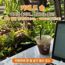 카페 드 힐링(CAFE DE HEALING) | [치앙마이 산티탐 카페] 한 달 살기 필수 코스, 숲속 감성 폭포 카페 '카페 드 솥(Cafe de sot)' 솔직 후기