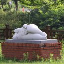 솔밭 1994 이미지