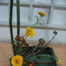 오리나무로 이미지