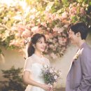 스튜디오소울