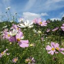 희망곤충농장 이미지