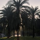 개꿀이발소 | 다낭 남호이안 빈펄리조트 3베드룸 후기