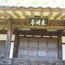 풍산태사로(서후면) 이미지