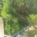 석곡주유소 이미지