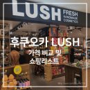 연돈볼카츠신 | 러쉬 가격 및 쇼핑리스트 / 텐진 돈카츠 맛집 '카츠신' / 후쿠오카 시내에서 공항가는 법 / 후쿠오카...