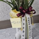 혁신의원 이미지
