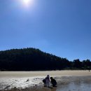 아이랑 캠핑 [충남 태안 구름포 해변 캠핑장] 에서의 2박 3일