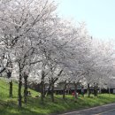 광주 천변길4 이미지