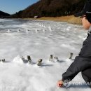 봉암갯벌생태학습장 연합뉴스