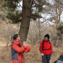 덕신초등학교 이미지