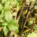 선배농장 이미지