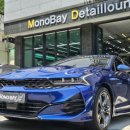 모노덴트 이미지