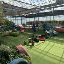 키즈 엘림 이미지