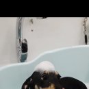 멍그라미 이발소 이미지