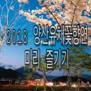 신기강변로 네이버블로그