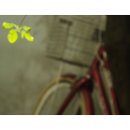 서정카 이미지
