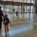 동동다리 이미지