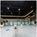 노케이지 네이버블로그